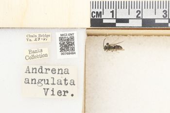 Media type: image;   Entomology 768484 Aspect: Labels